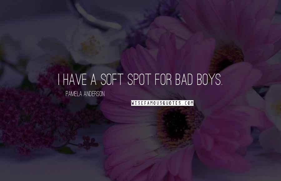 Pamela Anderson Quotes: I have a soft spot for bad boys.