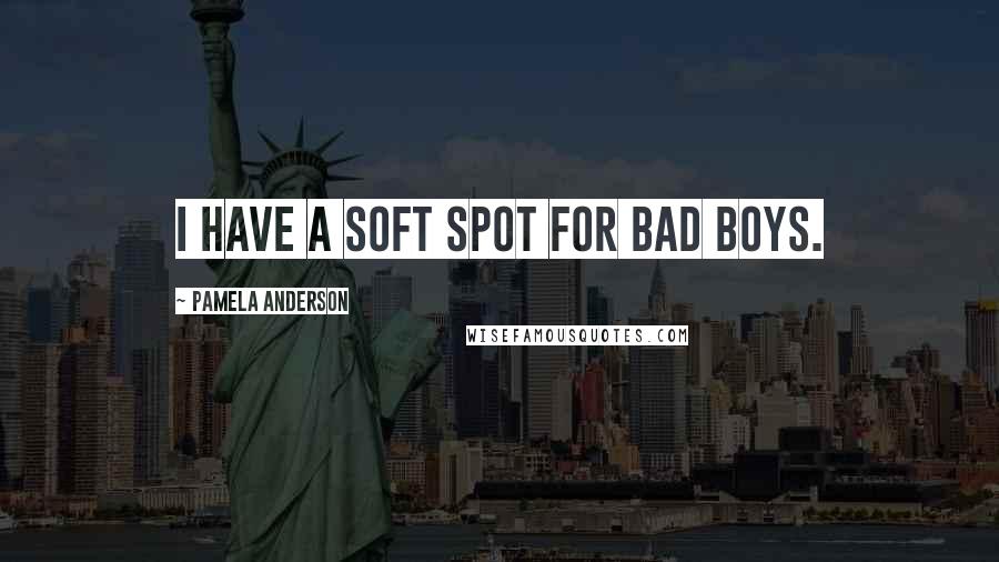 Pamela Anderson Quotes: I have a soft spot for bad boys.