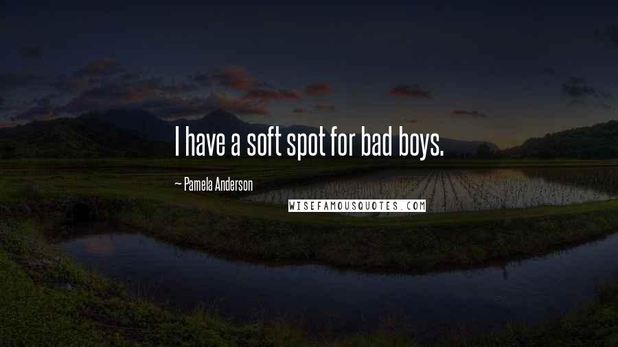 Pamela Anderson Quotes: I have a soft spot for bad boys.