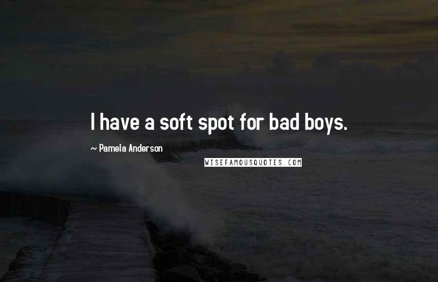 Pamela Anderson Quotes: I have a soft spot for bad boys.