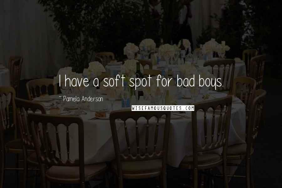 Pamela Anderson Quotes: I have a soft spot for bad boys.