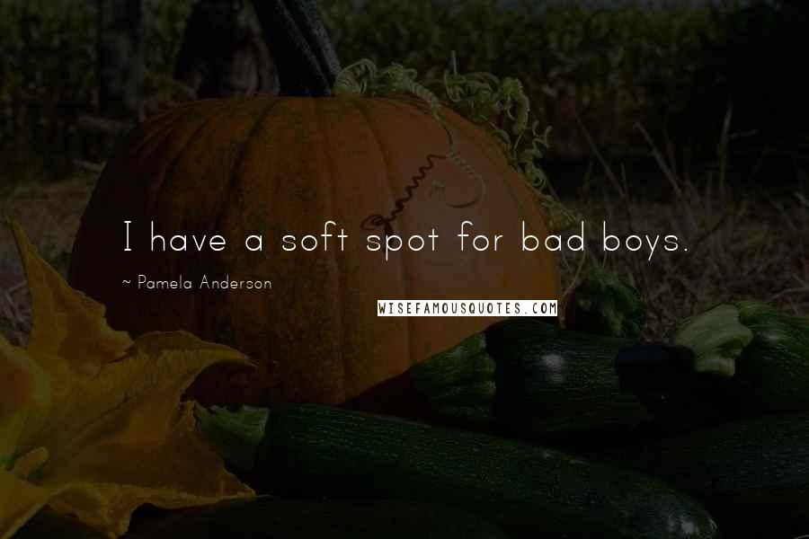 Pamela Anderson Quotes: I have a soft spot for bad boys.