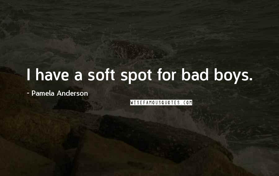 Pamela Anderson Quotes: I have a soft spot for bad boys.