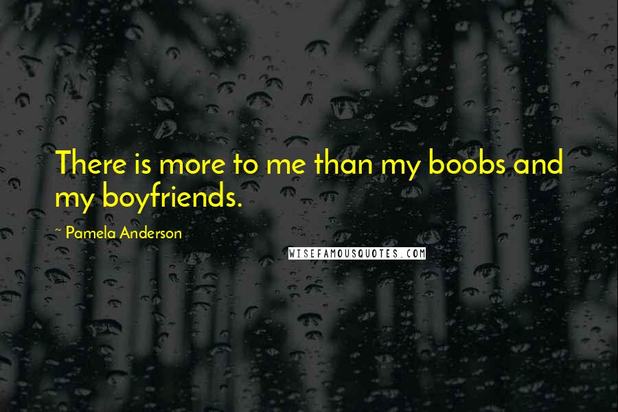 Pamela Anderson Quotes: There is more to me than my boobs and my boyfriends.