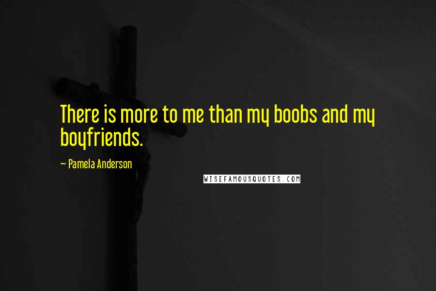 Pamela Anderson Quotes: There is more to me than my boobs and my boyfriends.