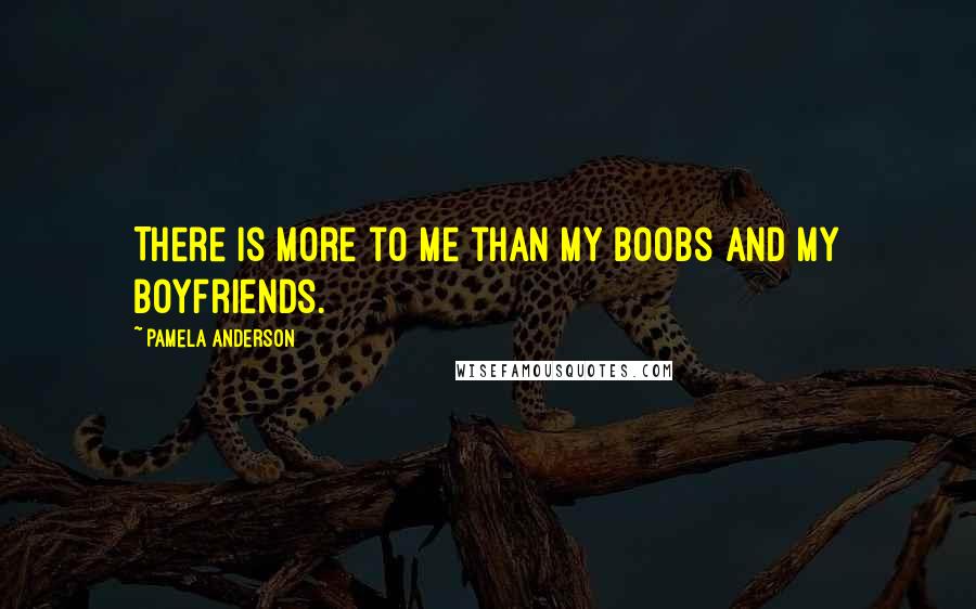 Pamela Anderson Quotes: There is more to me than my boobs and my boyfriends.