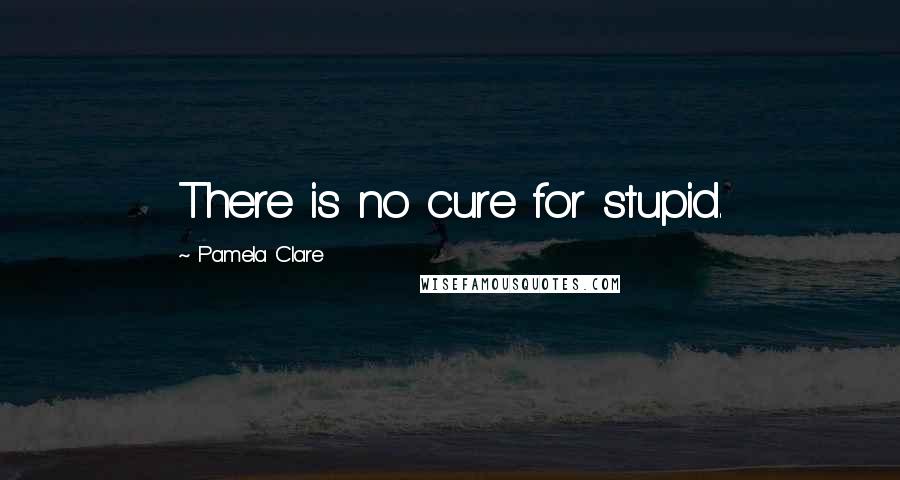 Pamela Clare Quotes: There is no cure for stupid.