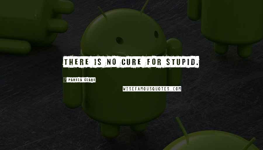 Pamela Clare Quotes: There is no cure for stupid.