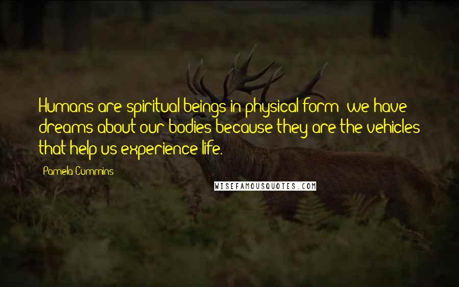 Pamela Cummins Quotes: Humans are spiritual beings in physical form; we have dreams about our bodies because they are the vehicles that help us experience life.