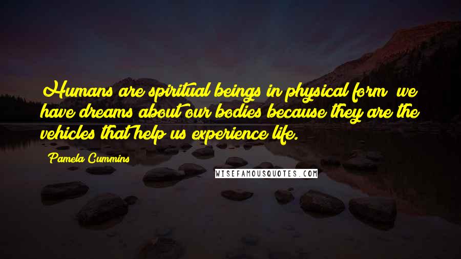 Pamela Cummins Quotes: Humans are spiritual beings in physical form; we have dreams about our bodies because they are the vehicles that help us experience life.