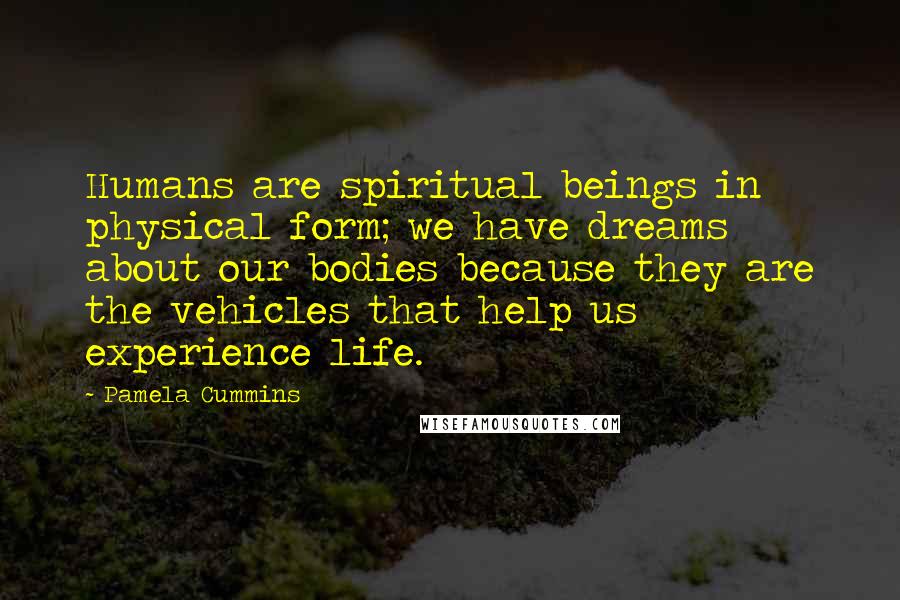 Pamela Cummins Quotes: Humans are spiritual beings in physical form; we have dreams about our bodies because they are the vehicles that help us experience life.