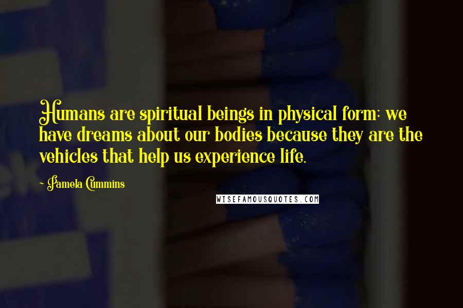 Pamela Cummins Quotes: Humans are spiritual beings in physical form; we have dreams about our bodies because they are the vehicles that help us experience life.