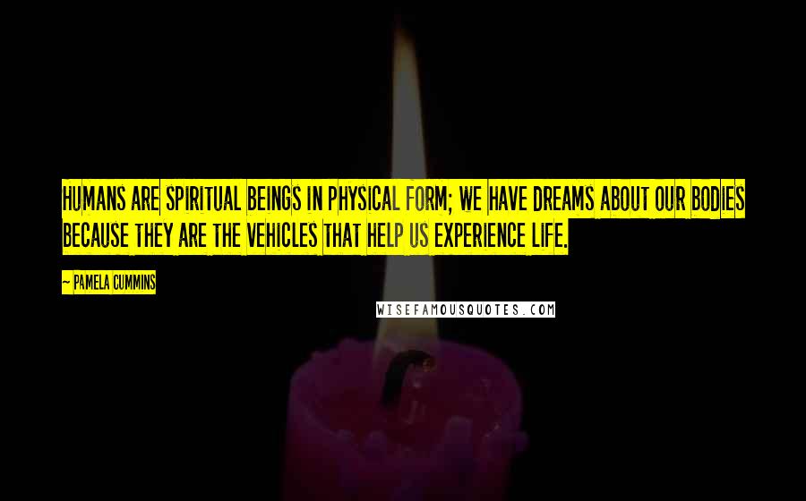 Pamela Cummins Quotes: Humans are spiritual beings in physical form; we have dreams about our bodies because they are the vehicles that help us experience life.