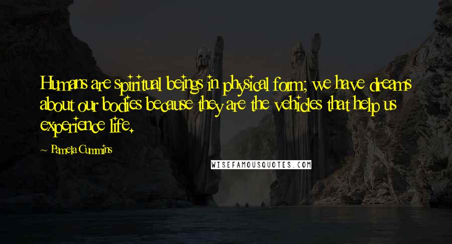 Pamela Cummins Quotes: Humans are spiritual beings in physical form; we have dreams about our bodies because they are the vehicles that help us experience life.