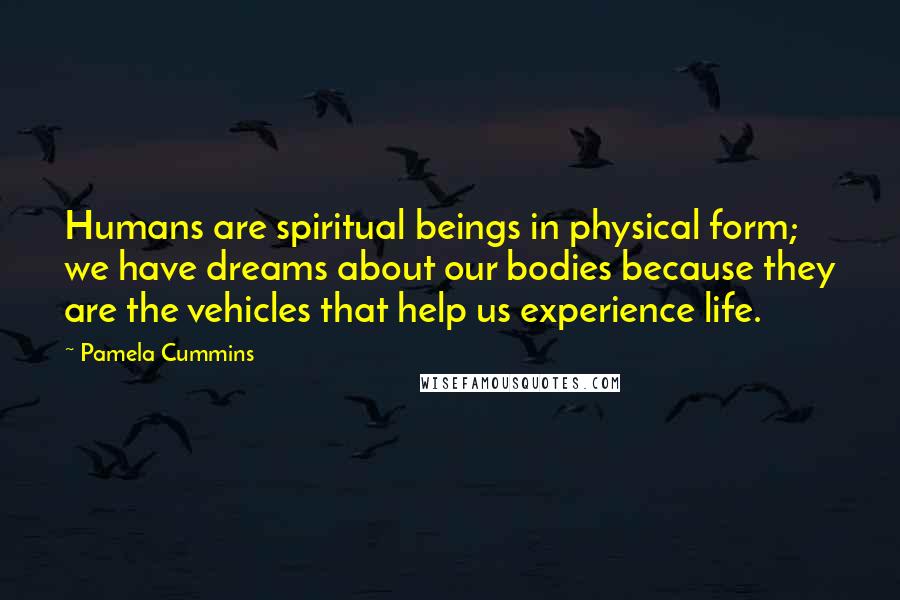 Pamela Cummins Quotes: Humans are spiritual beings in physical form; we have dreams about our bodies because they are the vehicles that help us experience life.