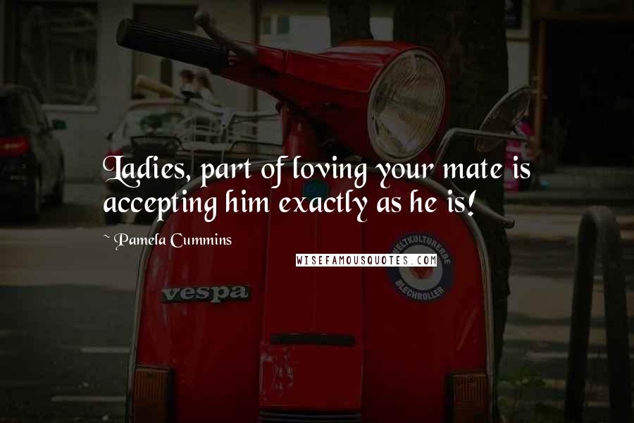 Pamela Cummins Quotes: Ladies, part of loving your mate is accepting him exactly as he is!