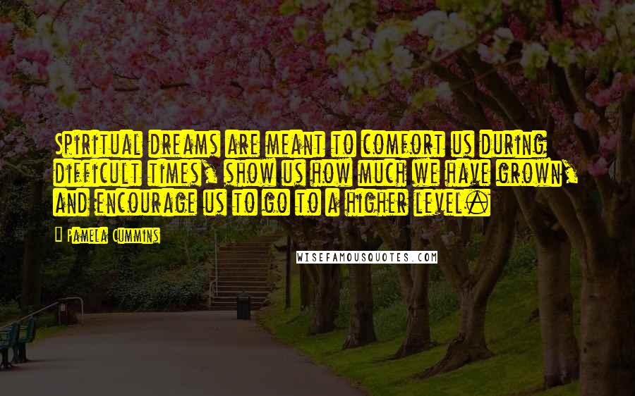 Pamela Cummins Quotes: Spiritual dreams are meant to comfort us during difficult times, show us how much we have grown, and encourage us to go to a higher level.