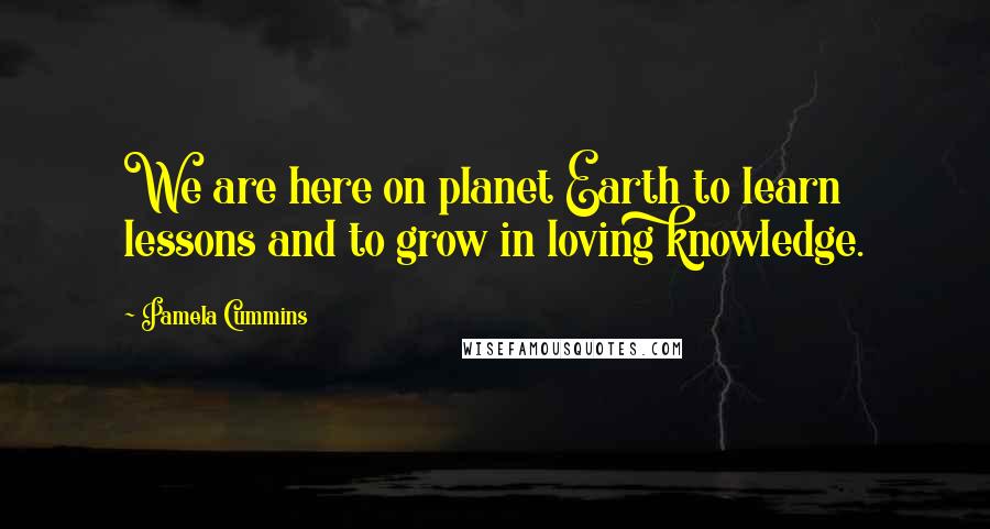 Pamela Cummins Quotes: We are here on planet Earth to learn lessons and to grow in loving knowledge.