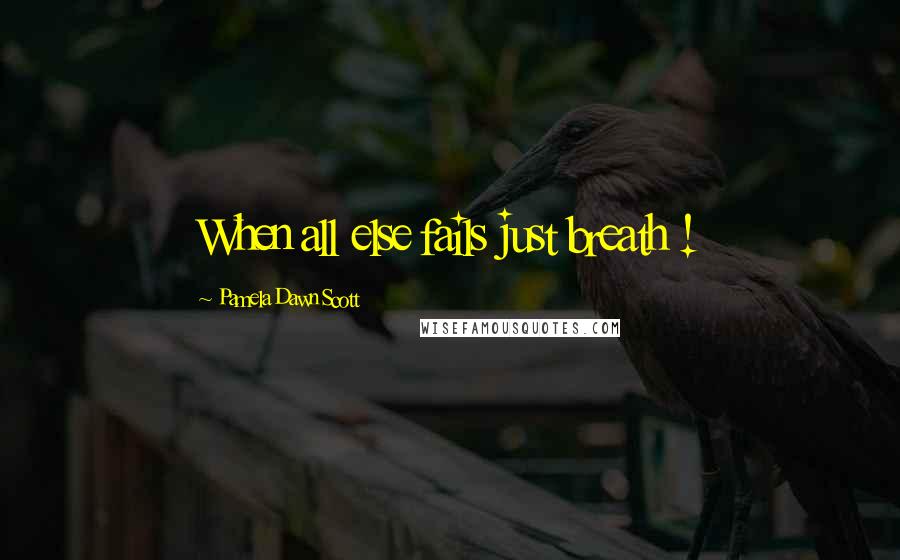 Pamela Dawn Scott Quotes: When all else fails just breath !