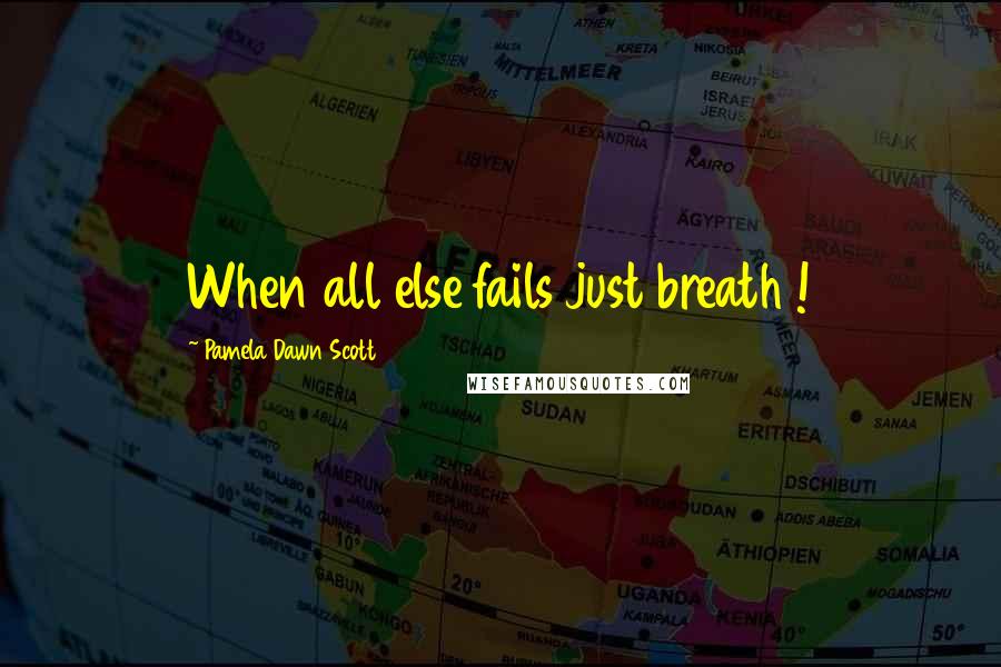 Pamela Dawn Scott Quotes: When all else fails just breath !