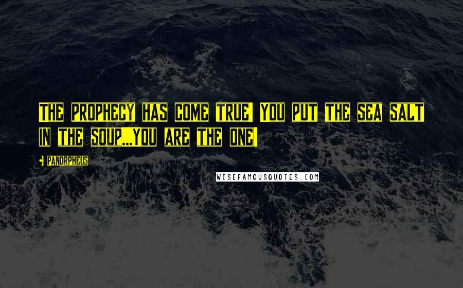 PanOrpheus Quotes: The prophecy has come true! You put the sea salt in the soup...You are the one!