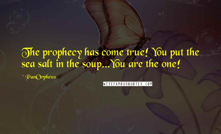 PanOrpheus Quotes: The prophecy has come true! You put the sea salt in the soup...You are the one!