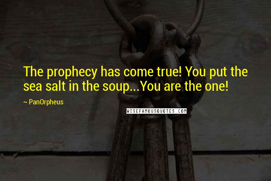 PanOrpheus Quotes: The prophecy has come true! You put the sea salt in the soup...You are the one!