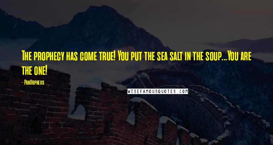 PanOrpheus Quotes: The prophecy has come true! You put the sea salt in the soup...You are the one!