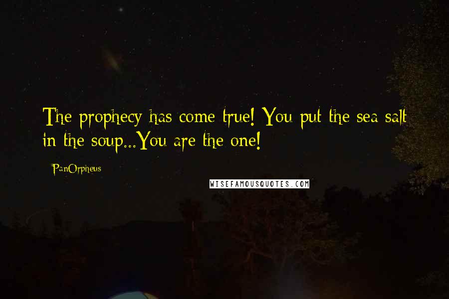 PanOrpheus Quotes: The prophecy has come true! You put the sea salt in the soup...You are the one!