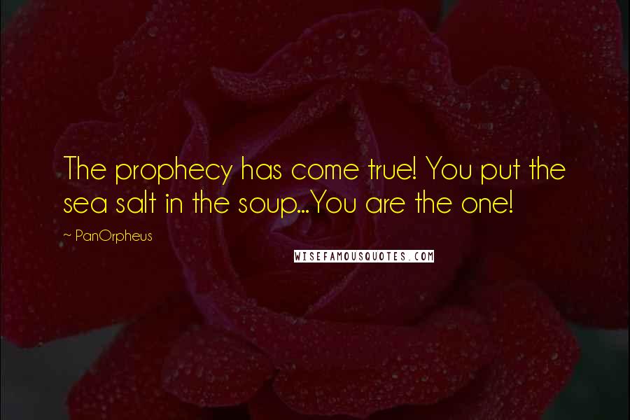 PanOrpheus Quotes: The prophecy has come true! You put the sea salt in the soup...You are the one!