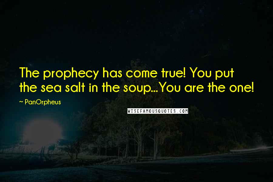 PanOrpheus Quotes: The prophecy has come true! You put the sea salt in the soup...You are the one!