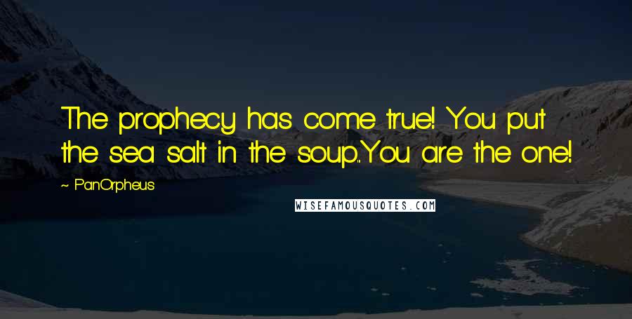 PanOrpheus Quotes: The prophecy has come true! You put the sea salt in the soup...You are the one!