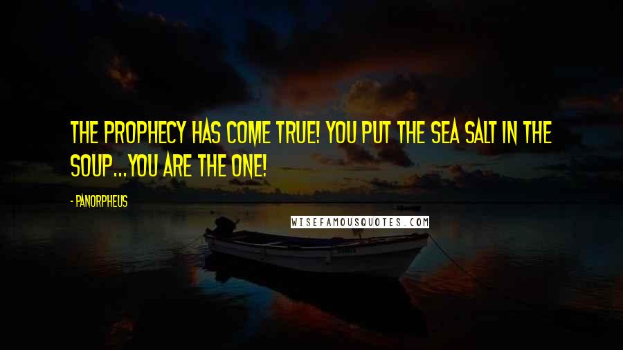 PanOrpheus Quotes: The prophecy has come true! You put the sea salt in the soup...You are the one!