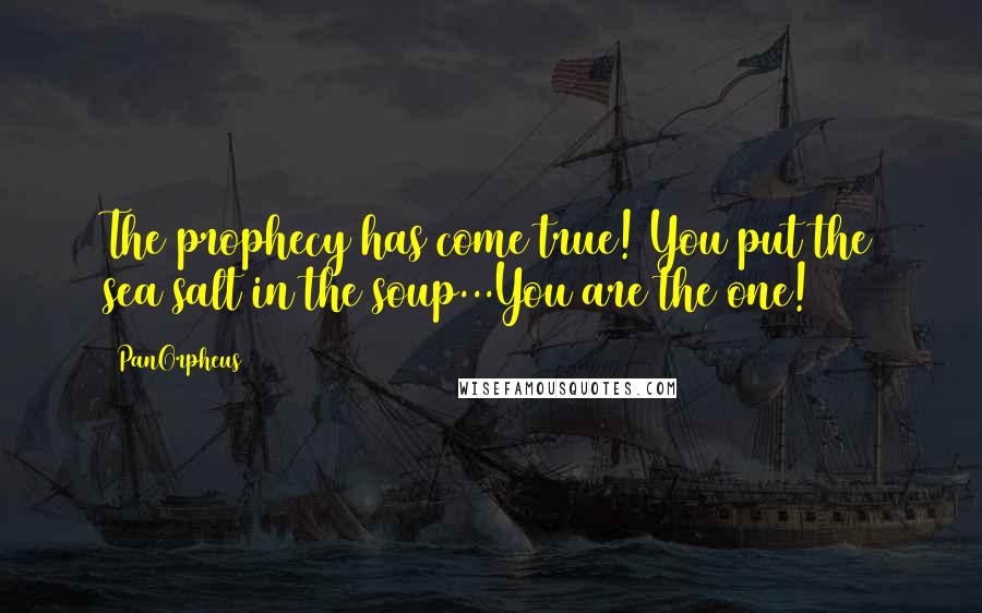 PanOrpheus Quotes: The prophecy has come true! You put the sea salt in the soup...You are the one!