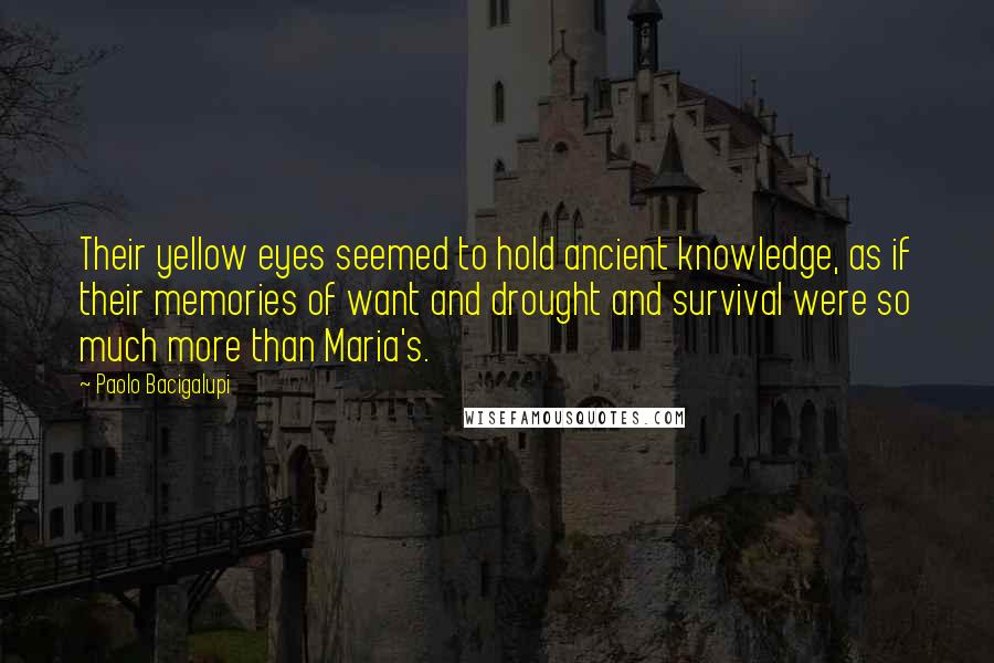 Paolo Bacigalupi Quotes: Their yellow eyes seemed to hold ancient knowledge, as if their memories of want and drought and survival were so much more than Maria's.