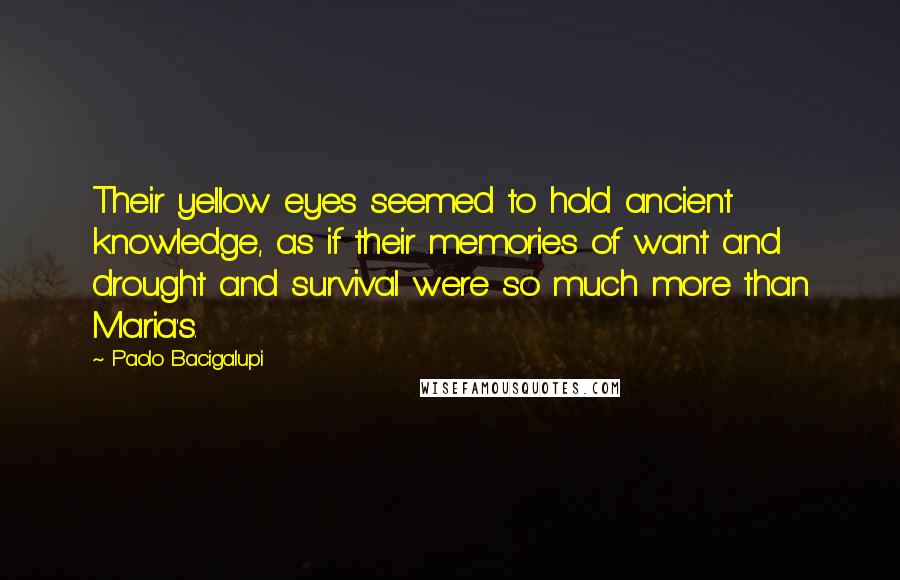 Paolo Bacigalupi Quotes: Their yellow eyes seemed to hold ancient knowledge, as if their memories of want and drought and survival were so much more than Maria's.
