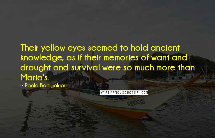 Paolo Bacigalupi Quotes: Their yellow eyes seemed to hold ancient knowledge, as if their memories of want and drought and survival were so much more than Maria's.