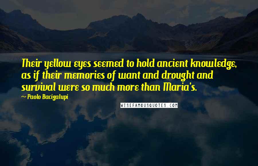 Paolo Bacigalupi Quotes: Their yellow eyes seemed to hold ancient knowledge, as if their memories of want and drought and survival were so much more than Maria's.