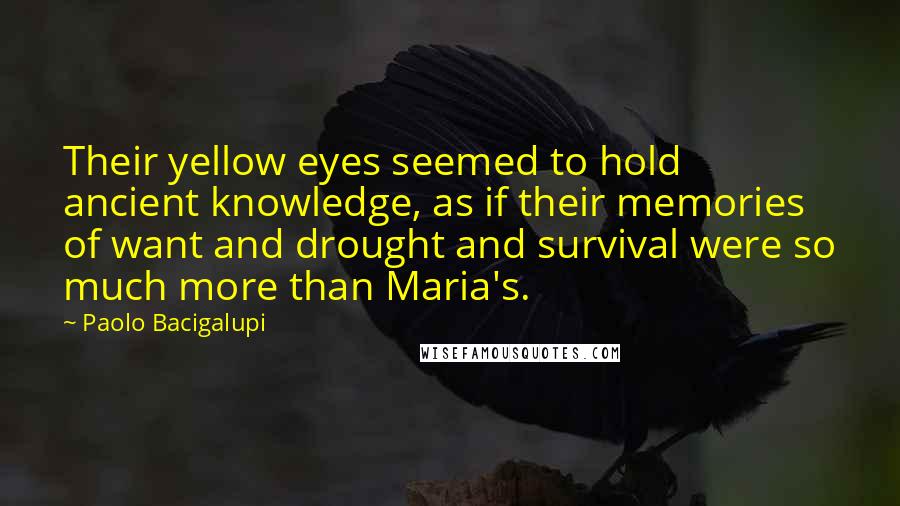 Paolo Bacigalupi Quotes: Their yellow eyes seemed to hold ancient knowledge, as if their memories of want and drought and survival were so much more than Maria's.