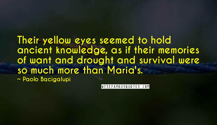 Paolo Bacigalupi Quotes: Their yellow eyes seemed to hold ancient knowledge, as if their memories of want and drought and survival were so much more than Maria's.