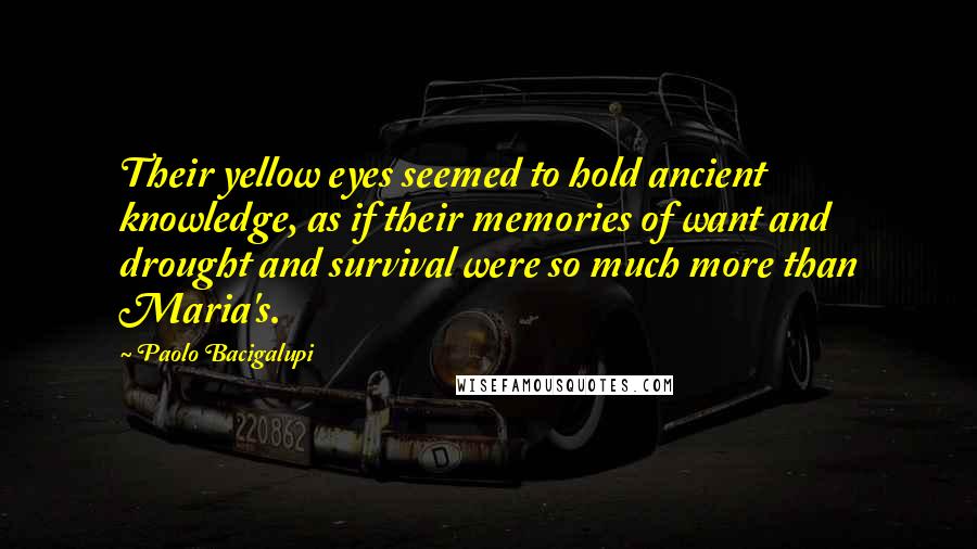 Paolo Bacigalupi Quotes: Their yellow eyes seemed to hold ancient knowledge, as if their memories of want and drought and survival were so much more than Maria's.