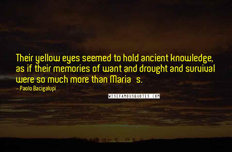 Paolo Bacigalupi Quotes: Their yellow eyes seemed to hold ancient knowledge, as if their memories of want and drought and survival were so much more than Maria's.