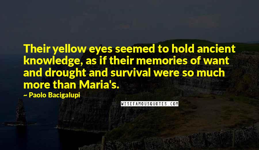 Paolo Bacigalupi Quotes: Their yellow eyes seemed to hold ancient knowledge, as if their memories of want and drought and survival were so much more than Maria's.