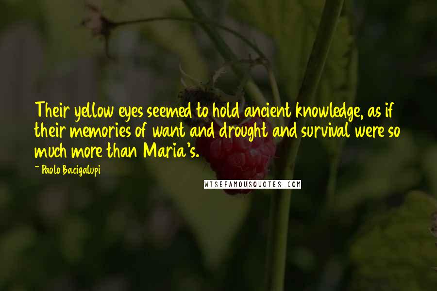 Paolo Bacigalupi Quotes: Their yellow eyes seemed to hold ancient knowledge, as if their memories of want and drought and survival were so much more than Maria's.