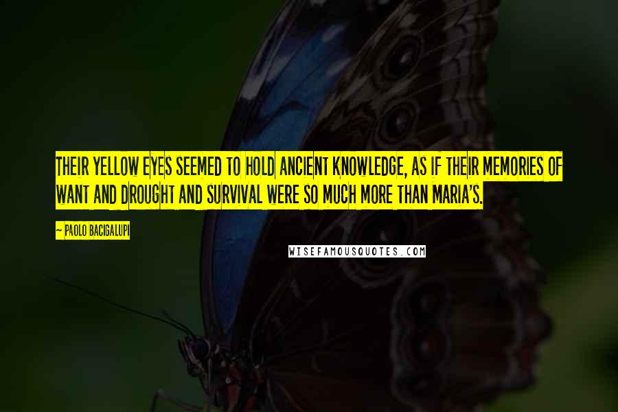 Paolo Bacigalupi Quotes: Their yellow eyes seemed to hold ancient knowledge, as if their memories of want and drought and survival were so much more than Maria's.
