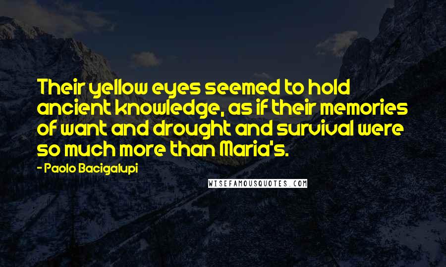 Paolo Bacigalupi Quotes: Their yellow eyes seemed to hold ancient knowledge, as if their memories of want and drought and survival were so much more than Maria's.