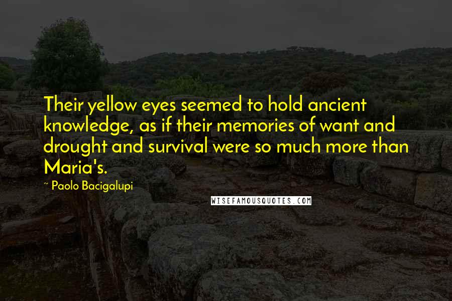 Paolo Bacigalupi Quotes: Their yellow eyes seemed to hold ancient knowledge, as if their memories of want and drought and survival were so much more than Maria's.