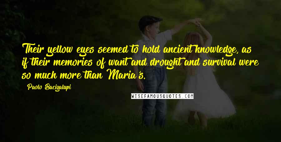 Paolo Bacigalupi Quotes: Their yellow eyes seemed to hold ancient knowledge, as if their memories of want and drought and survival were so much more than Maria's.
