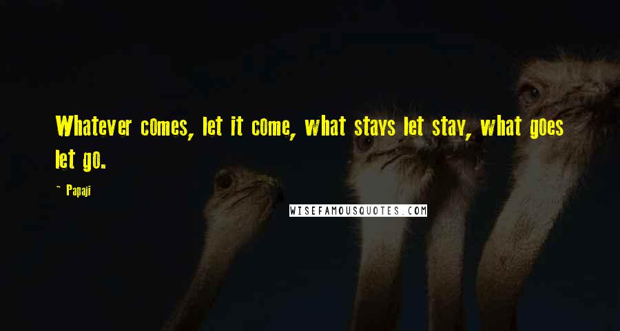 Papaji Quotes: Whatever comes, let it come, what stays let stay, what goes let go.