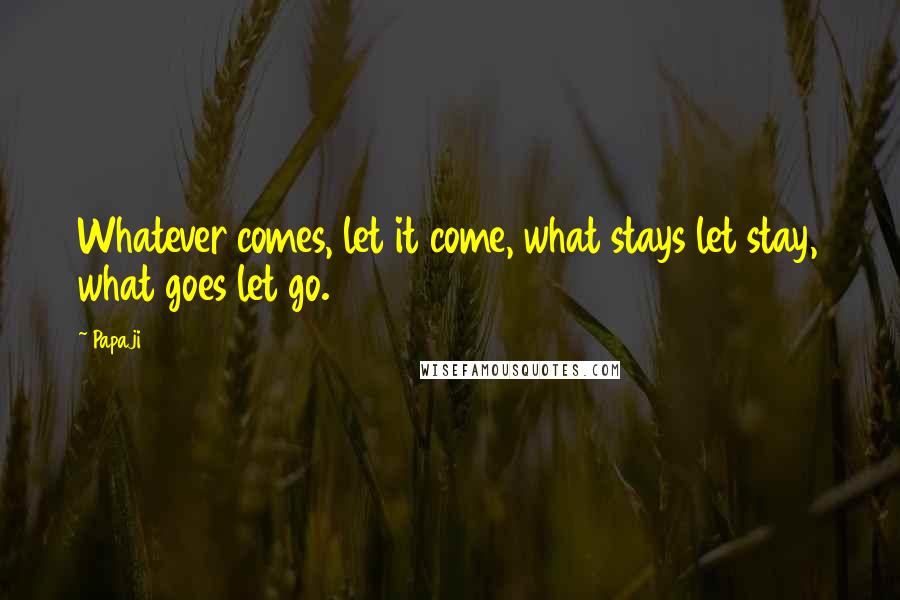 Papaji Quotes: Whatever comes, let it come, what stays let stay, what goes let go.